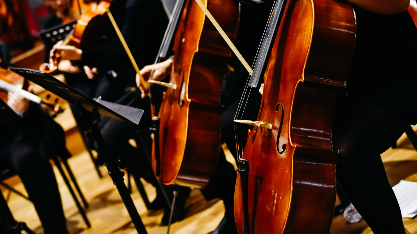 Smithson Valley High School Orchestra Program